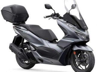 Hohes Windschild PCX BJ 21-23