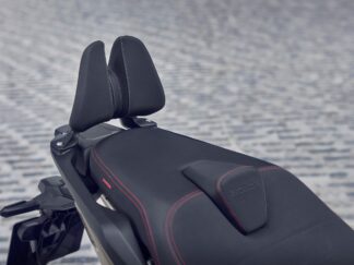 Sozius Rückenlehne ab BJ.21